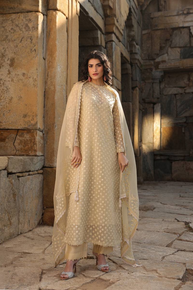 Vaayu Beige Buti Close Neck Kurta Set organza , silk tencel kurta/kurta set by Niti Bothra in beige for women Worldwide