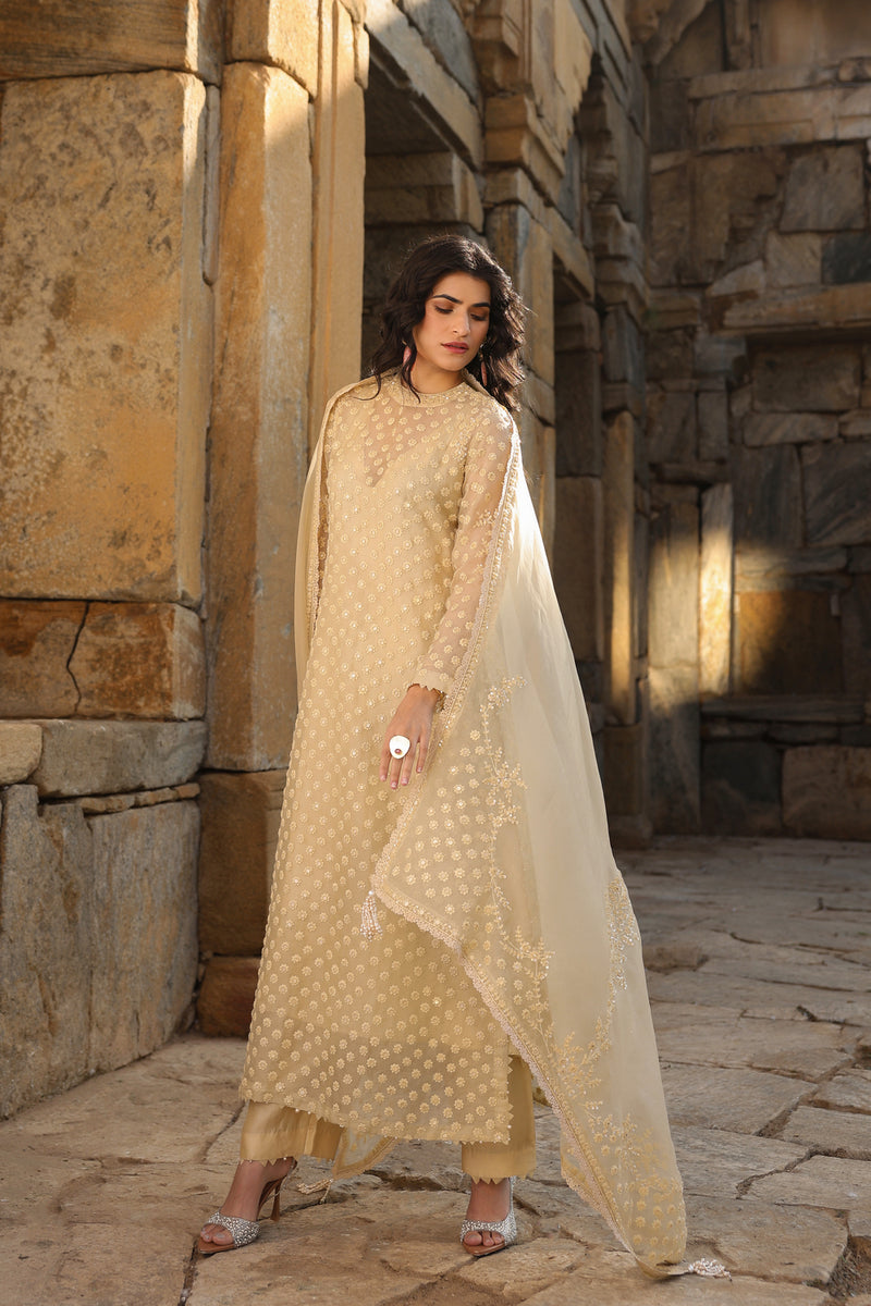 Vaayu Beige Buti Close Neck Kurta Set organza , silk tencel kurta/kurta set by Niti Bothra in beige for women Worldwide