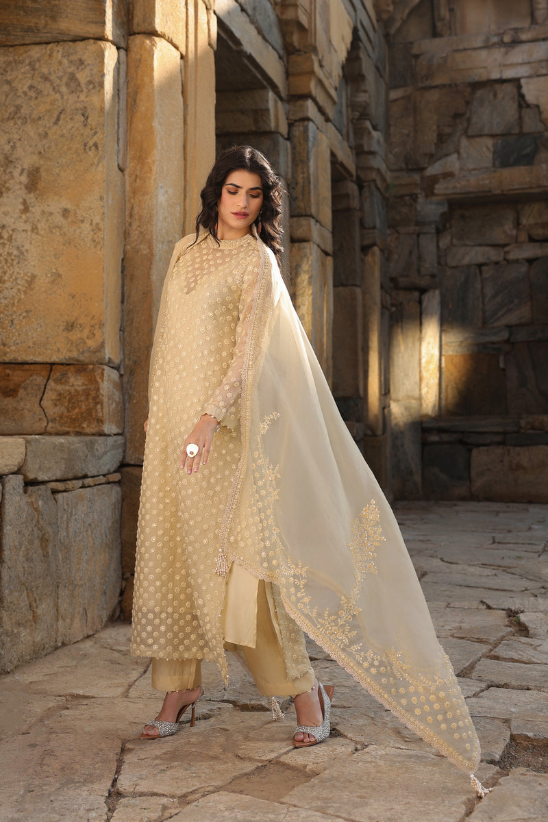Vaayu Beige Buti Close Neck Kurta Set organza , silk tencel kurta/kurta set by Niti Bothra in beige for women Worldwide
