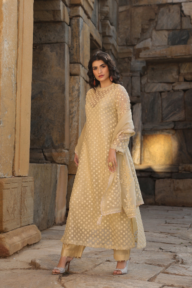 Vaayu Beige Buti Close Neck Kurta Set organza , silk tencel kurta/kurta set by Niti Bothra in beige for women Worldwide