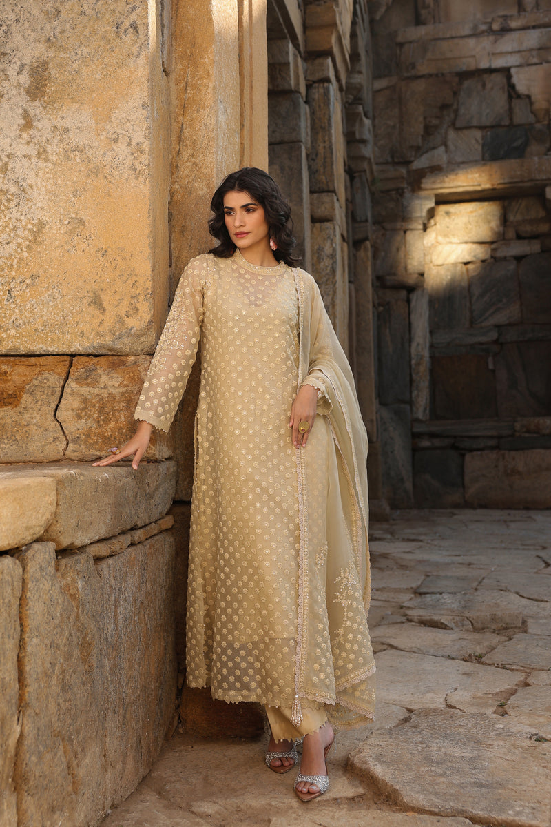 Vaayu Beige Buti Close Neck Kurta Set organza , silk tencel kurta/kurta set by Niti Bothra in beige for women Worldwide