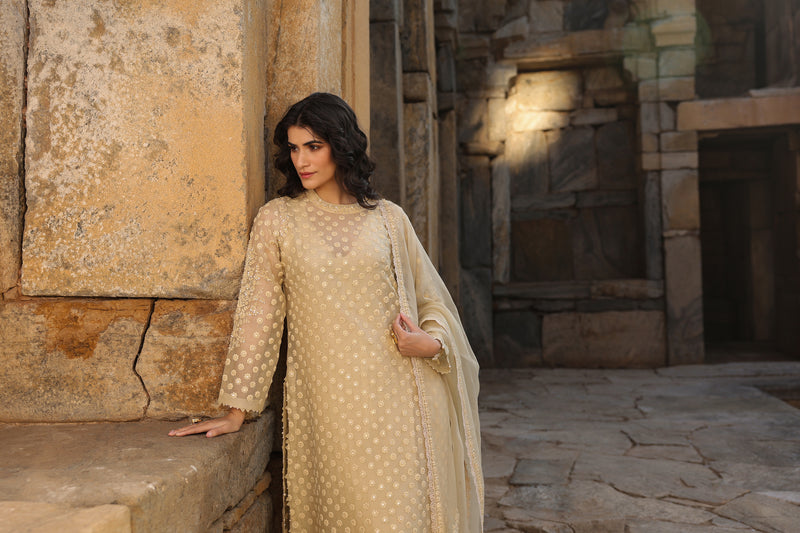 Vaayu Beige Buti Close Neck Kurta Set organza , silk tencel kurta/kurta set by Niti Bothra in beige for women Worldwide
