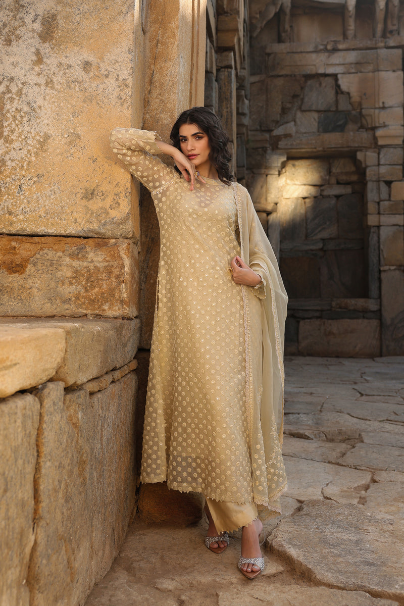 Vaayu Beige Buti Close Neck Kurta Set organza , silk tencel kurta/kurta set by Niti Bothra in beige for women Worldwide