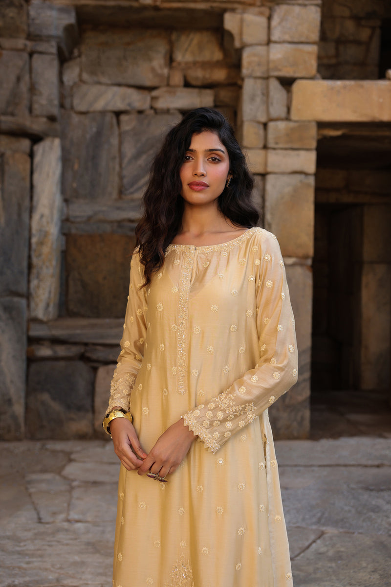 Vaayu Beige Light Buti Kurta Set silk modal kurta/kurta set by Niti Bothra in beige for women Worldwide
