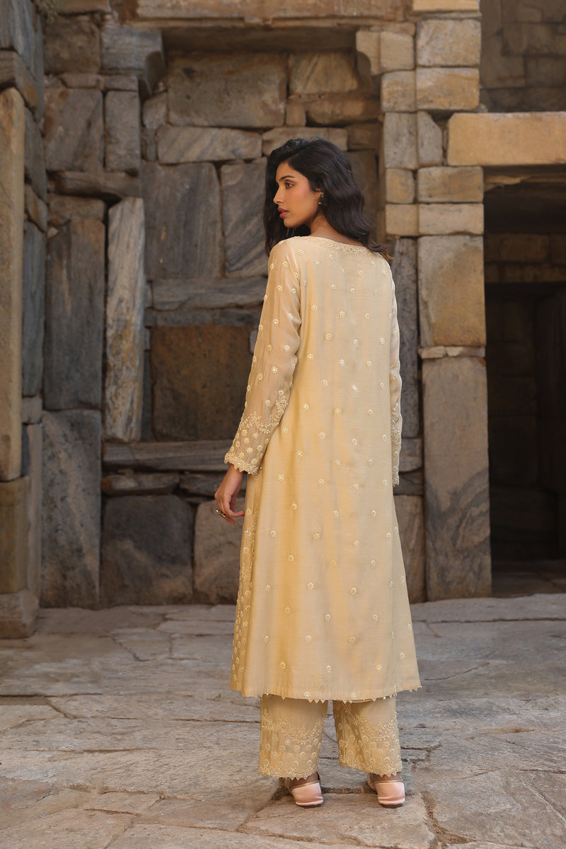 Vaayu Beige Light Buti Kurta Set silk modal kurta/kurta set by Niti Bothra in beige for women Worldwide
