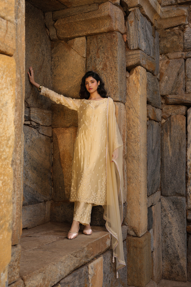 Vaayu Beige Light Buti Kurta Set silk modal kurta/kurta set by Niti Bothra in beige for women Worldwide