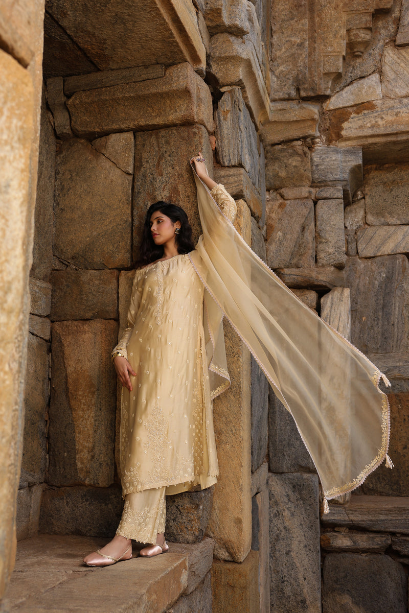 Vaayu Beige Light Buti Kurta Set silk modal kurta/kurta set by Niti Bothra in beige for women Worldwide