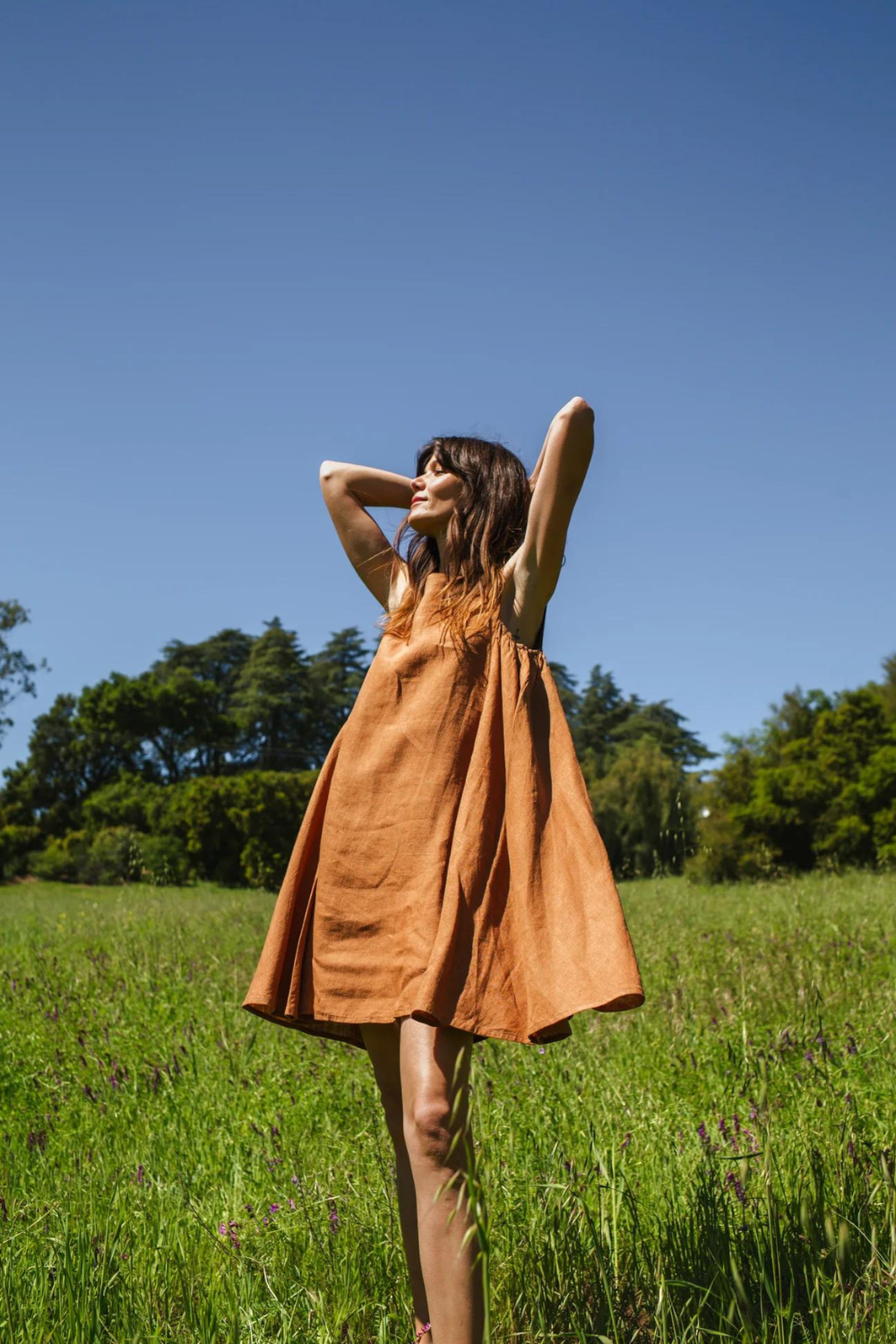 Noon day dress-Brown