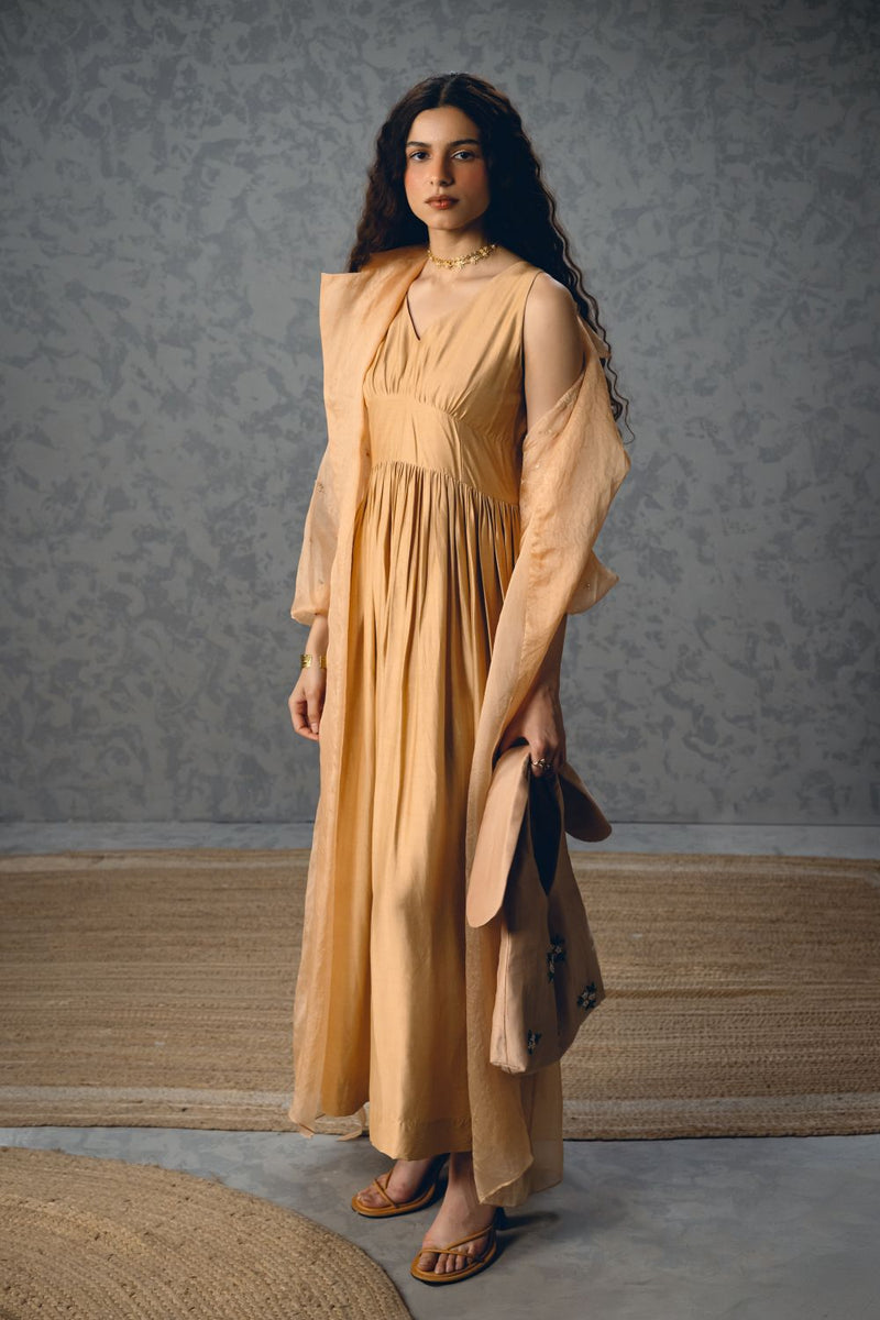 INAYA DRESS pure organza dress by Paulmi & Harsh in nude for women Worldwide