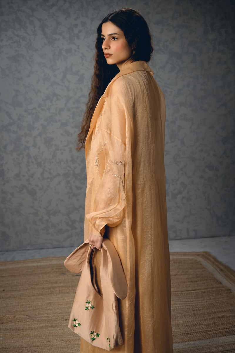 INAYA DRESS pure organza dress by Paulmi & Harsh in nude for women Worldwide