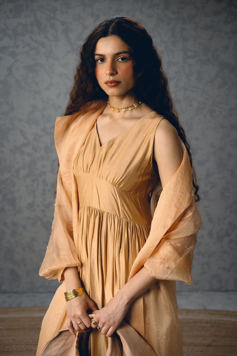 INAYA DRESS pure organza dress by Paulmi & Harsh in nude for women Worldwide