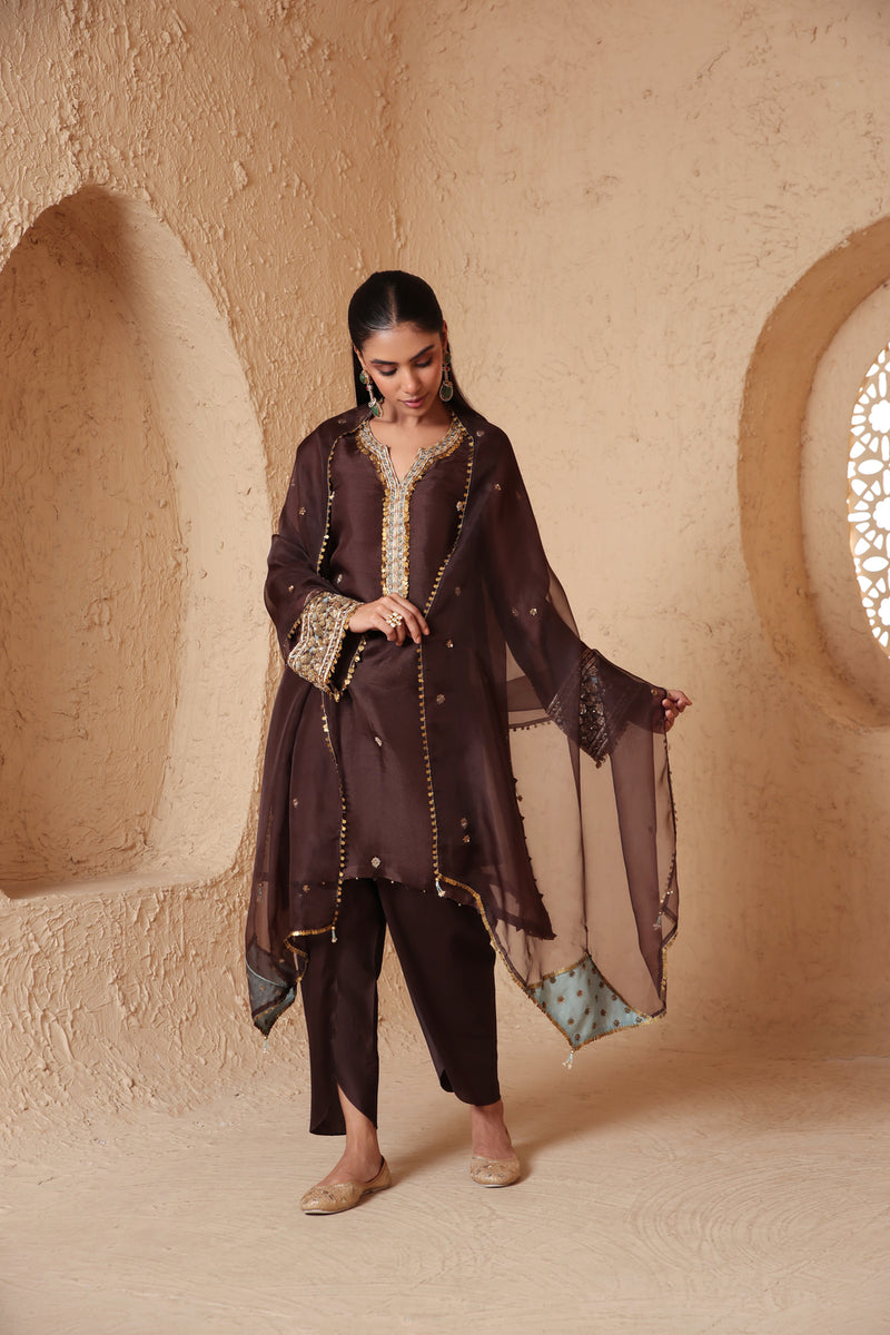 Zar-Rang Brown Short Kurta Set organza, silk tencel kurta/kurta set by Niti Bothra in brown for women Worldwide