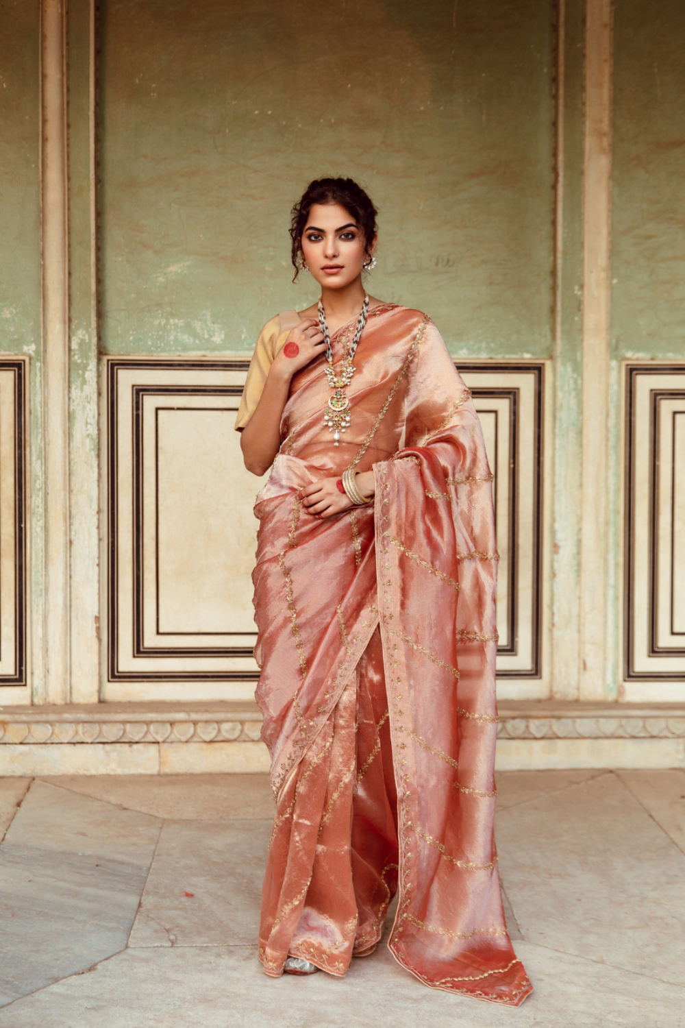 Rust Tissue Silk Embroidered Sari