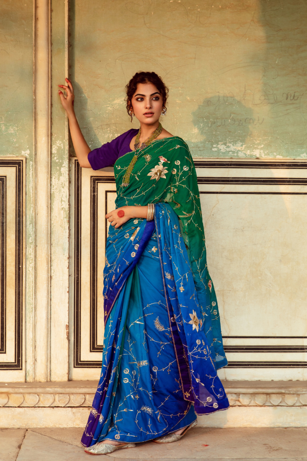 Embroidered Shaded Chiffon Sari