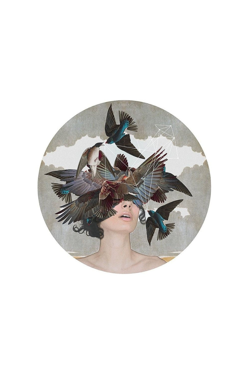 Swallow Blind