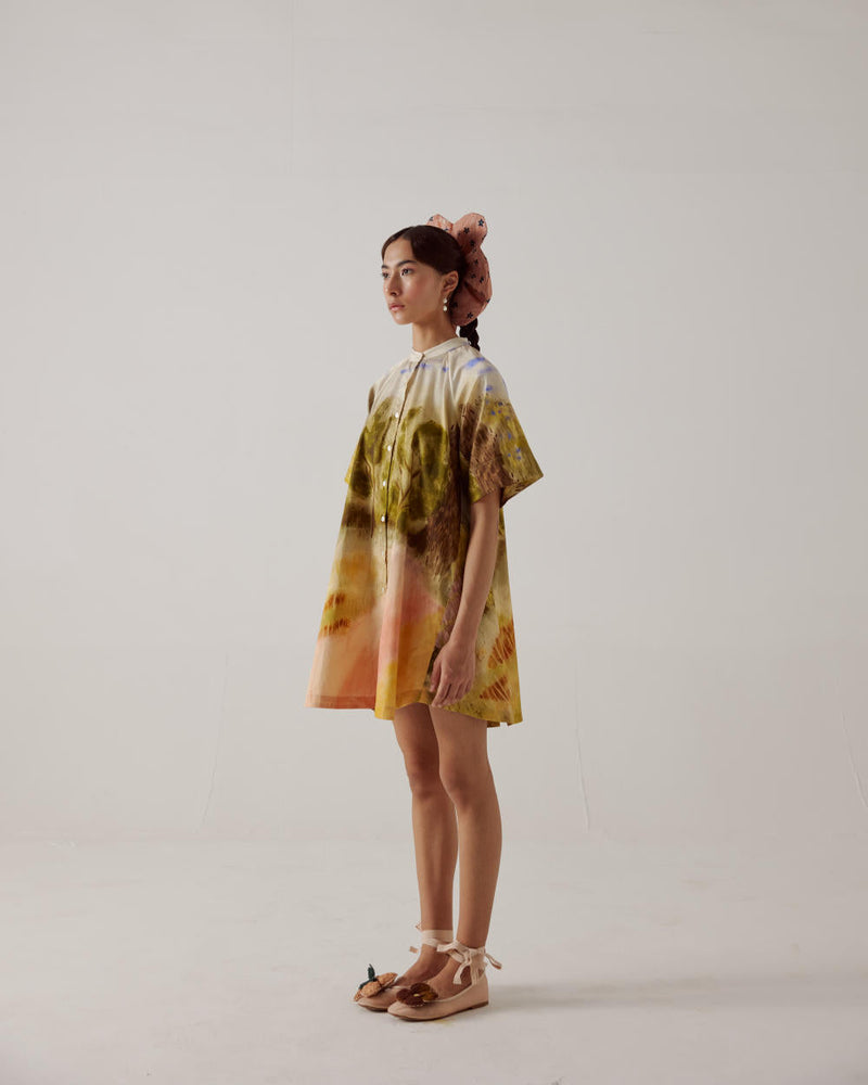A-Line Dress-Dale cotton by CORD in multi for women Worldwide