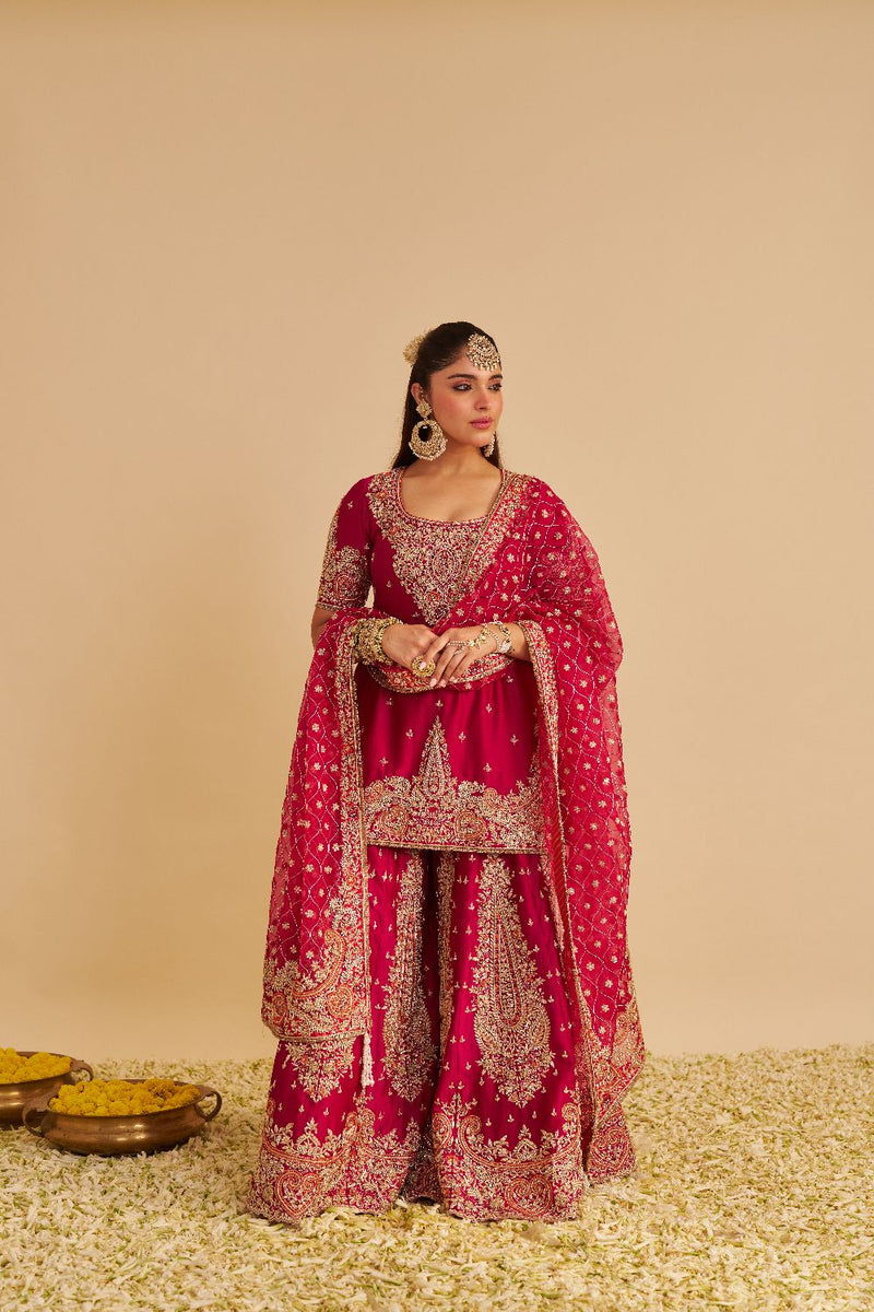 Alina - Dabka Zardozi Embroidered Silk Hotpink Sharara Set silk by SHEETAL BATRA in pink color for women Worldwide