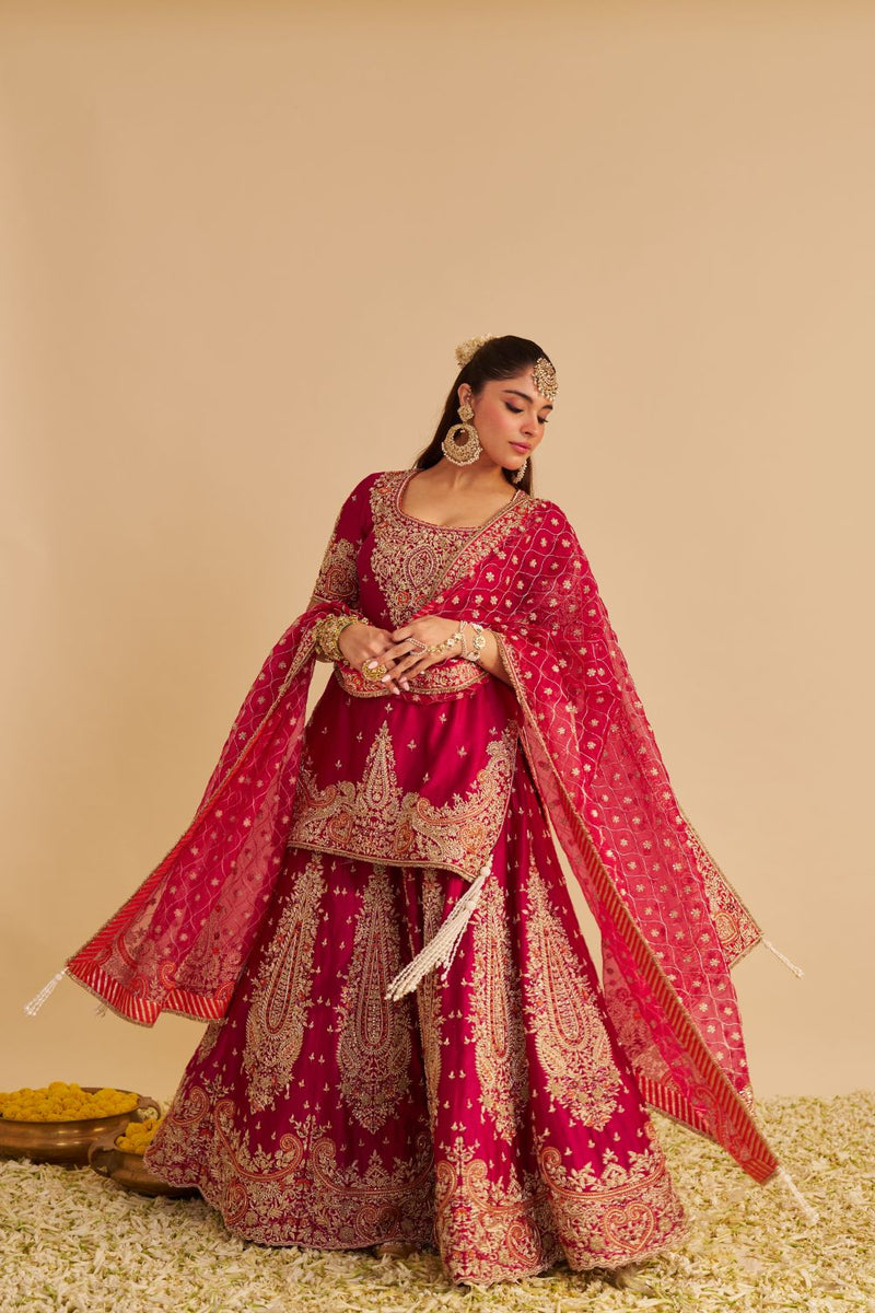 Alina - Dabka Zardozi Embroidered Silk Hotpink Sharara Set silk by SHEETAL BATRA in pink color for women Worldwide