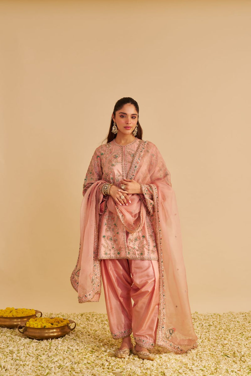 Alira - Dabka Zardozi Embroidered Blush Pink Kurta & Salwar with Dupatta silk by SHEETAL BATRA in blush color for women Worldwide