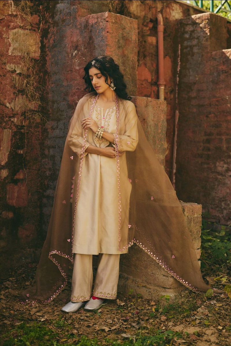 AMOLI DUPATTA organza by Rashika Mittal in brown color for women Worldwide