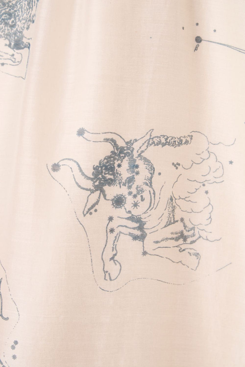 Cheryl Zodiac Print Handwoven Dress chanderi by The Summer House in white color for women Worldwide