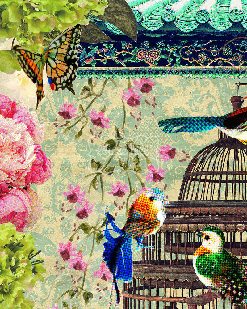 Bird & Flower Market