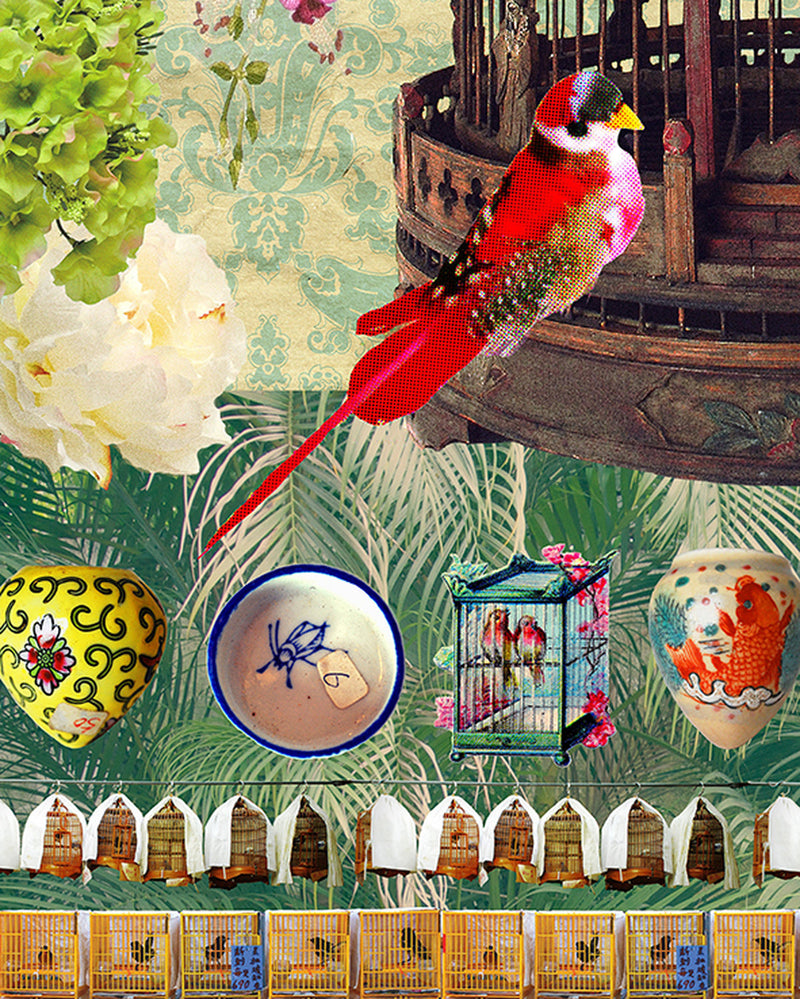 Bird & Flower Market