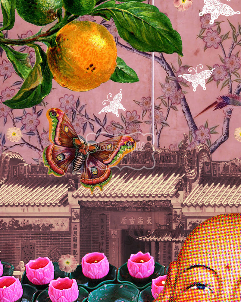 Happy Laughing Buddha
