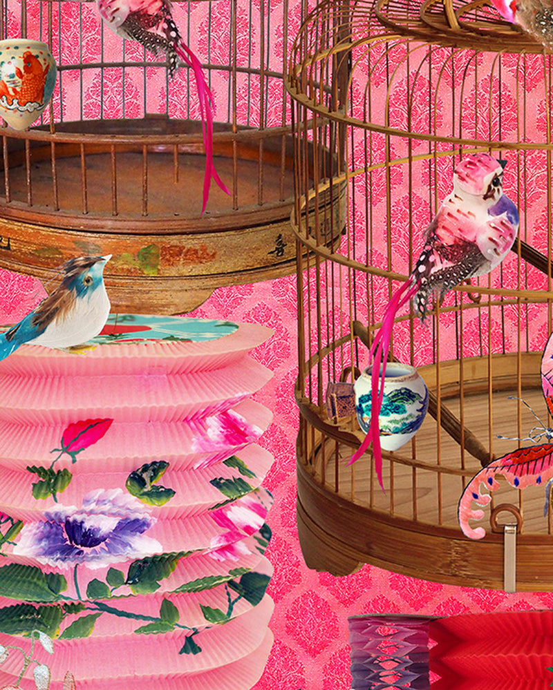 Sunrise Songbirds