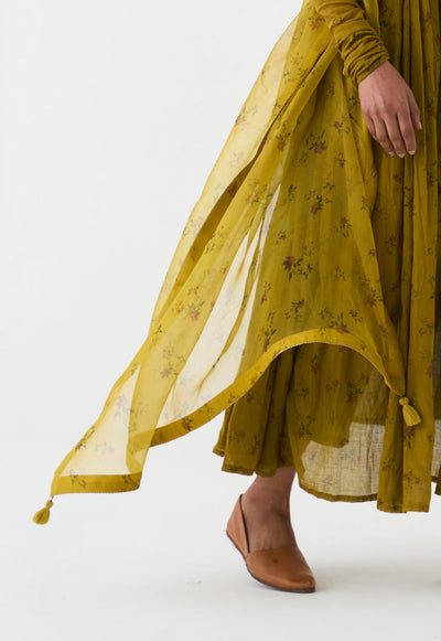 Chintz Ochre Yellow Organza Dupatta