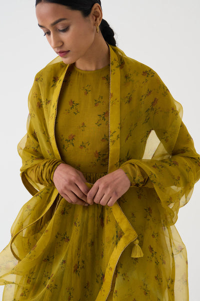 Chintz Ochre Yellow Organza Dupatta