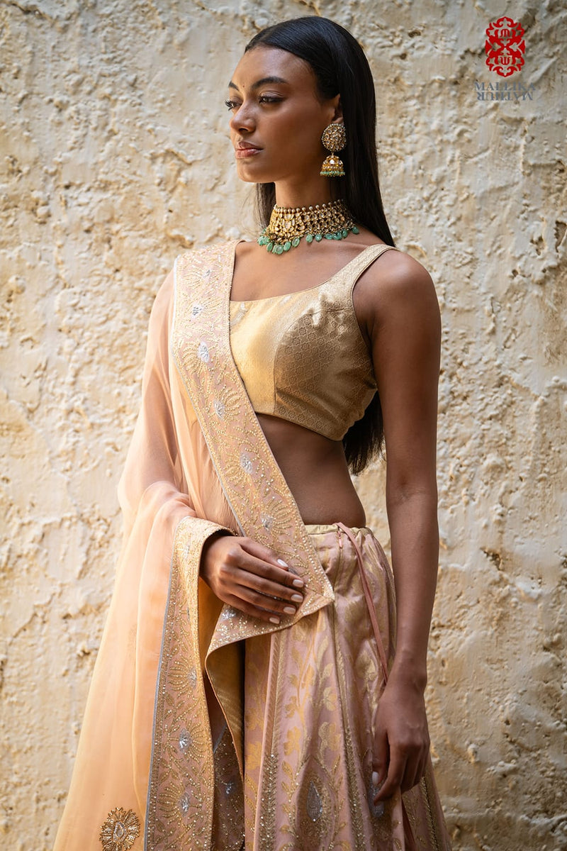 Sitara blouse sleeveless Ganga Jamuna zari mul by Mallika Mathur in multi color for women Worldwide