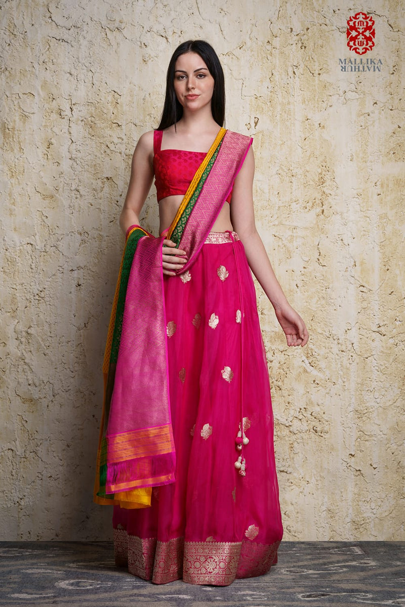 Kora silk skirt appliquéd in antique silver zari motifs mul by Mallika Mathur in multi color for women Worldwide