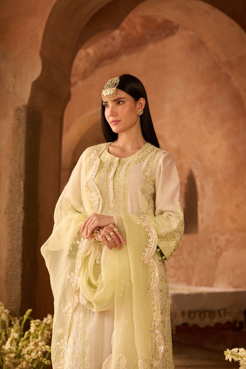 ENA - DAISY IVORY WITH MINT GREEN LONG A-LINE KURTA WITH PALAZZO AND DUPATTA silk organza kurta/kurta set by SHEETAL BATRA in daisy ivory with mint green for women Worldwide