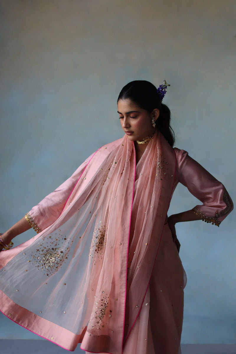 Gul Pastel Pink Sequin Flower Sari organza , silk by Rajiramniq in pink for women Worldwide