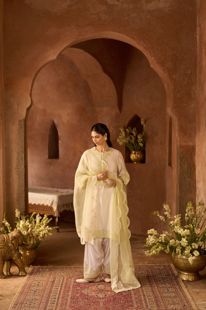 HANI - DAISY IVORY WITH MINT GREEN A-LINE KURTA WITH SALWAR AND DUPATTA silk organza kurta/kurta set by SHEETAL BATRA in daisy ivory with mint green for women Worldwide