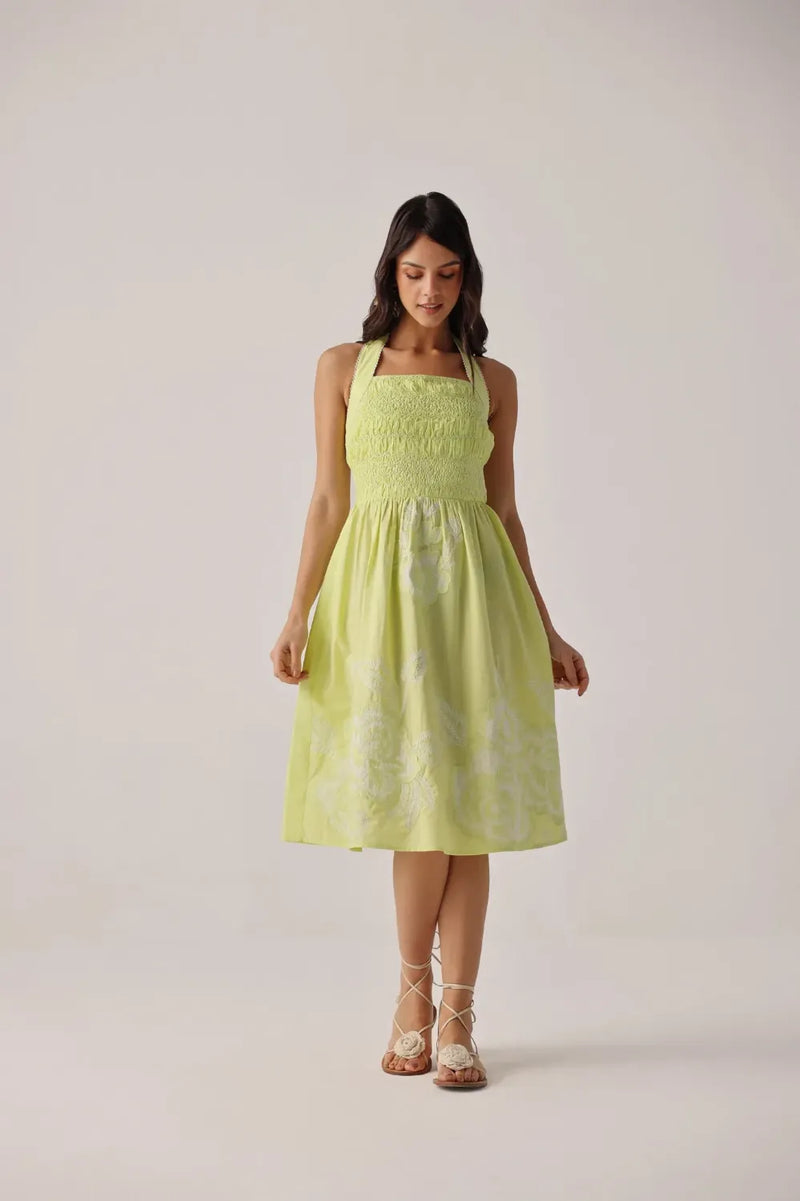 Hazel Midi - Lime poplin by NOIB for women Worldwide