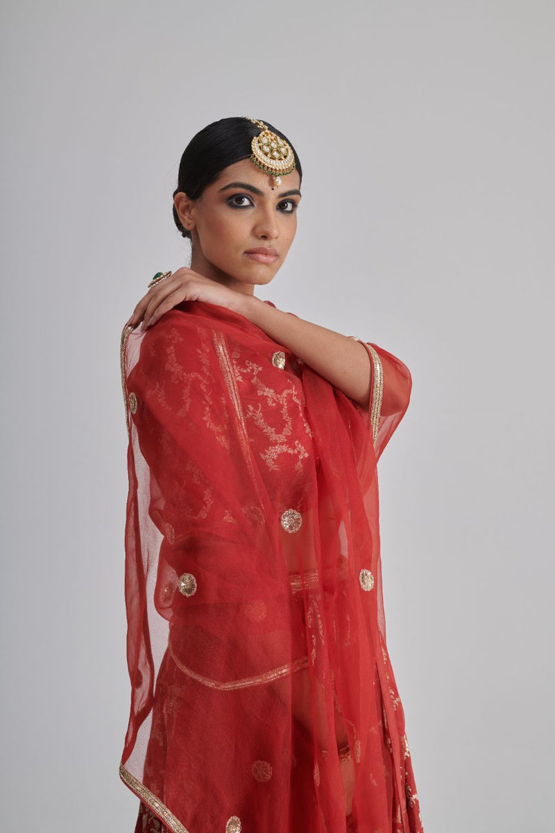 INAAYAT DUPATTA organza by Rashika Mittal in red color for women Worldwide