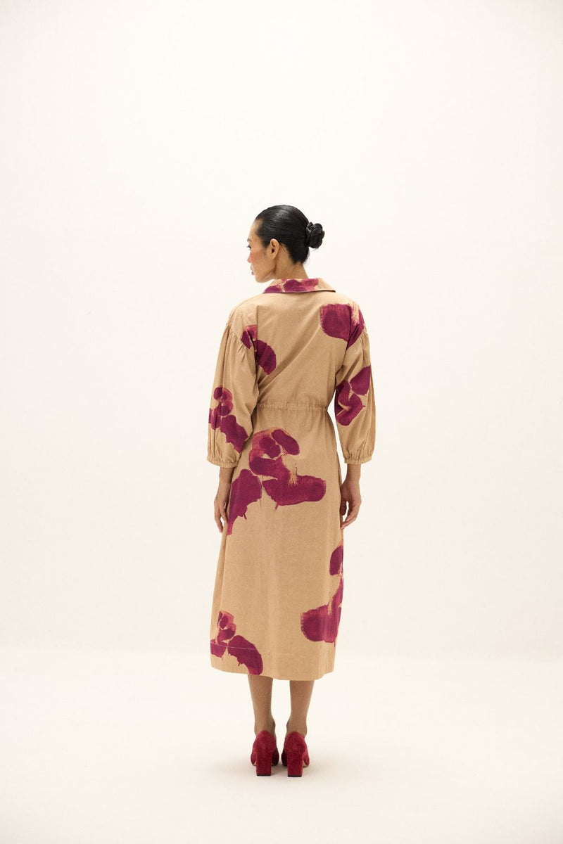 Amber Haze Dress poplin by Khara Kapas in beige for women Worldwide