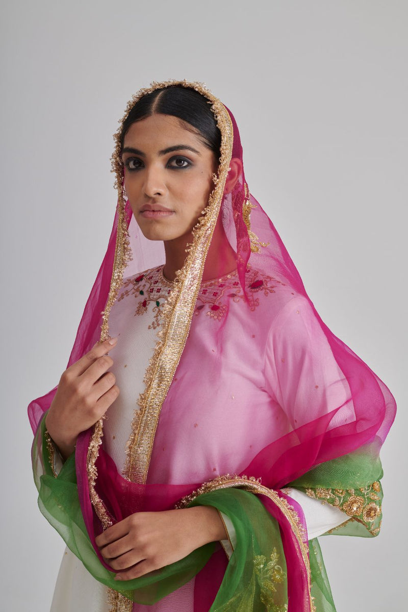 LILA DUPATTA organza by Rashika Mittal in multi color for women Worldwide