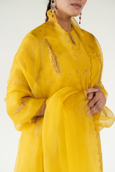 Chaand Kurta Set 
with Shama Odhani-Mustard