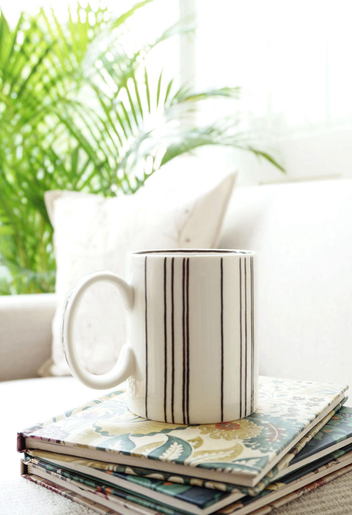 Dhara Mug (1 Pc)