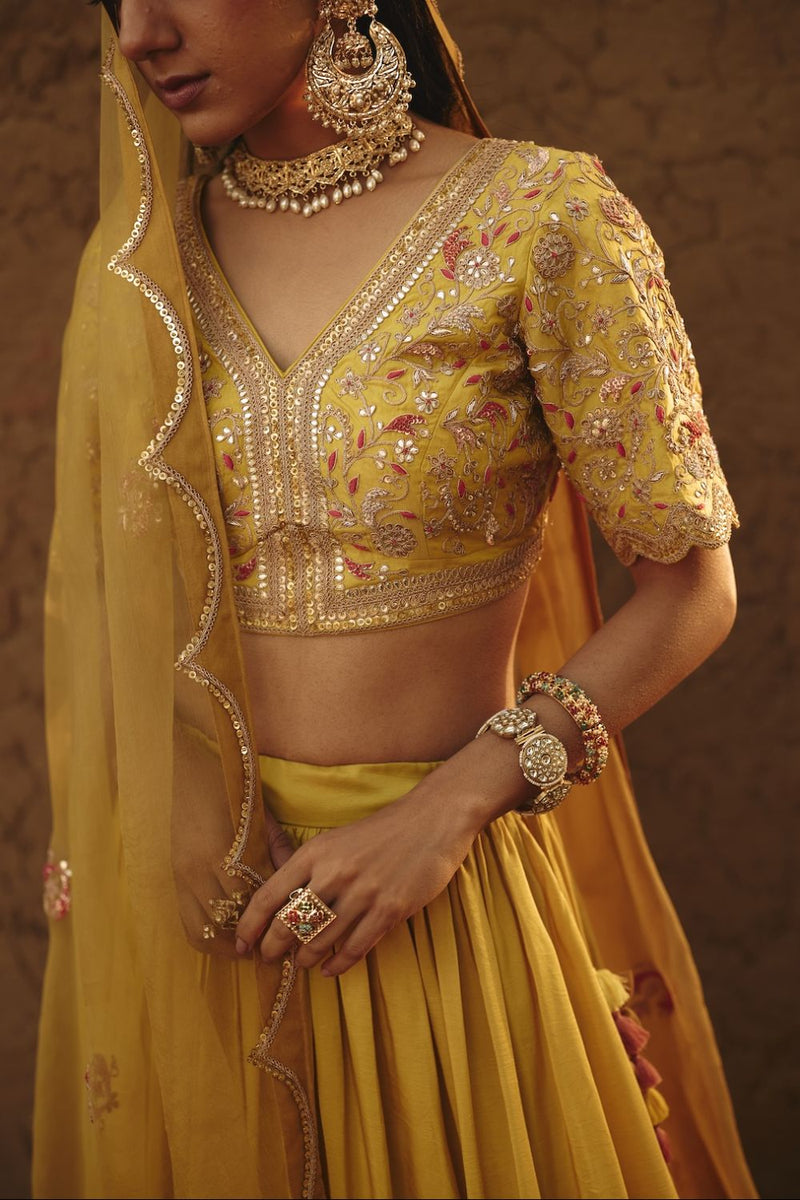 MIRAI DUPATTA organza by Rashika Mittal in yellow color for women Worldwide