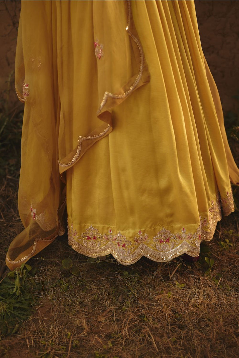 MIRAI DUPATTA organza by Rashika Mittal in yellow color for women Worldwide