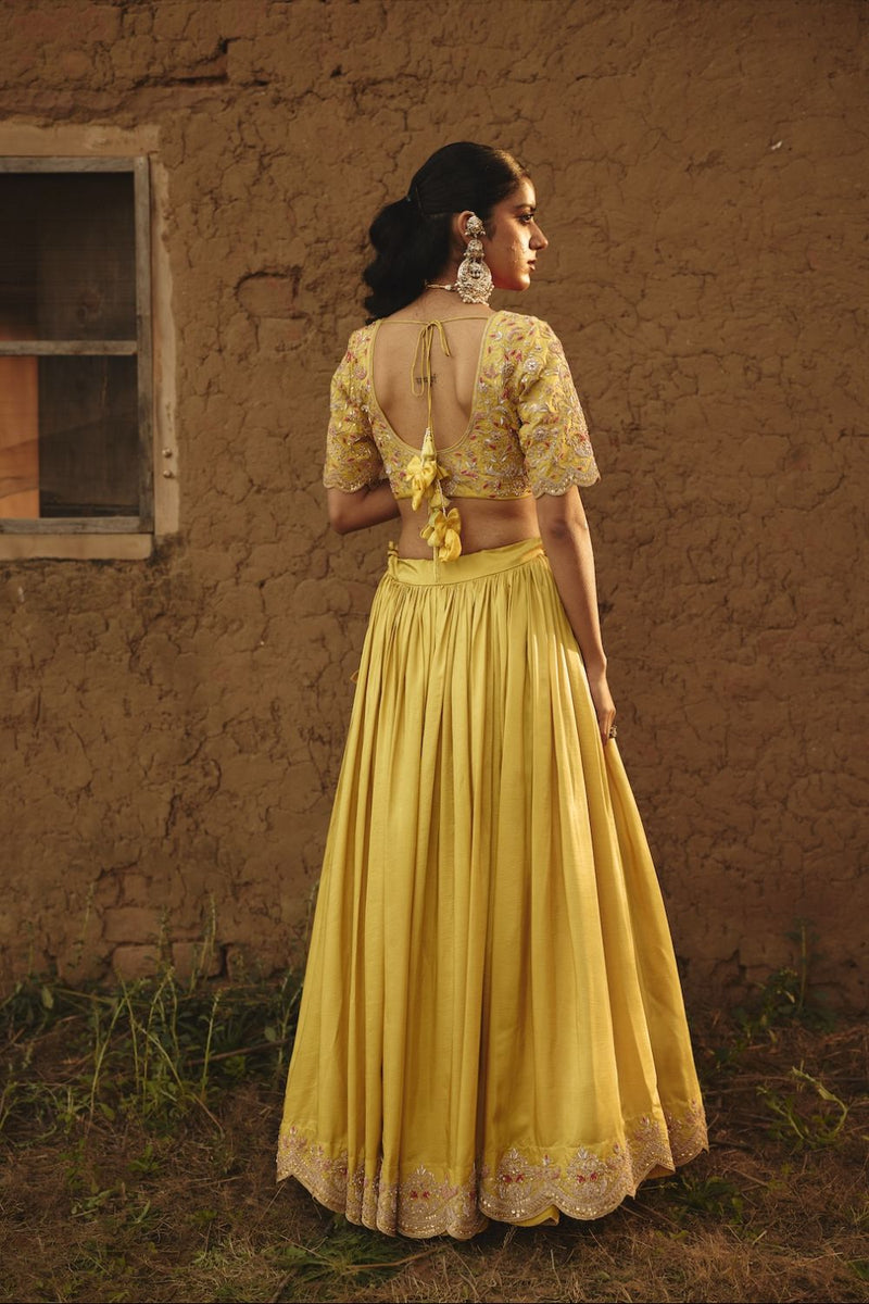 MIRAI DUPATTA organza by Rashika Mittal in yellow color for women Worldwide