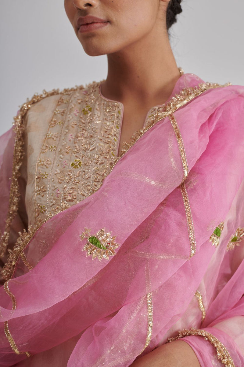 MORNII DUPATTA organza by Rashika Mittal in pink color for women Worldwide
