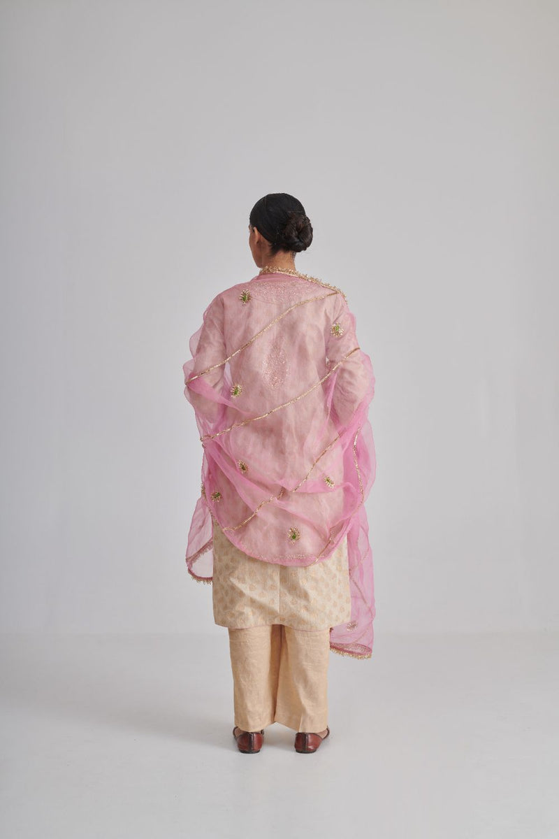 MORNII DUPATTA organza by Rashika Mittal in pink color for women Worldwide