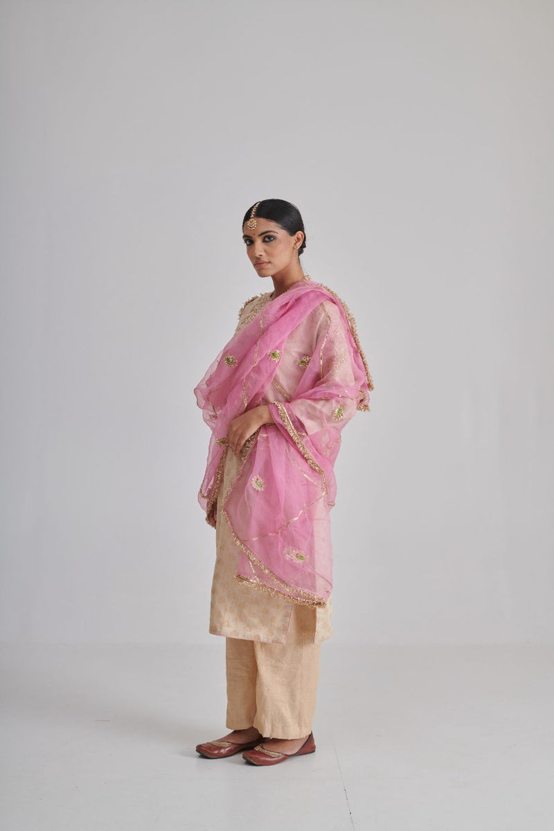 MORNII DUPATTA organza by Rashika Mittal in pink color for women Worldwide