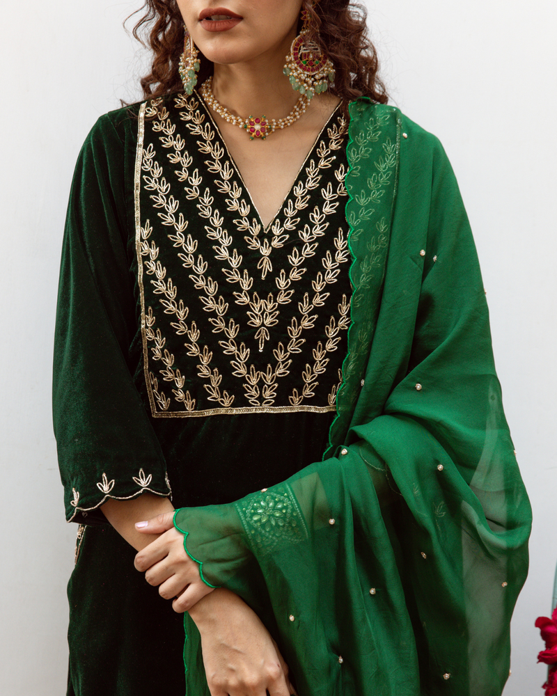 Roya Panna - Velvet Embroidered Suit Set by Maison Shefali in green color for women Worldwide