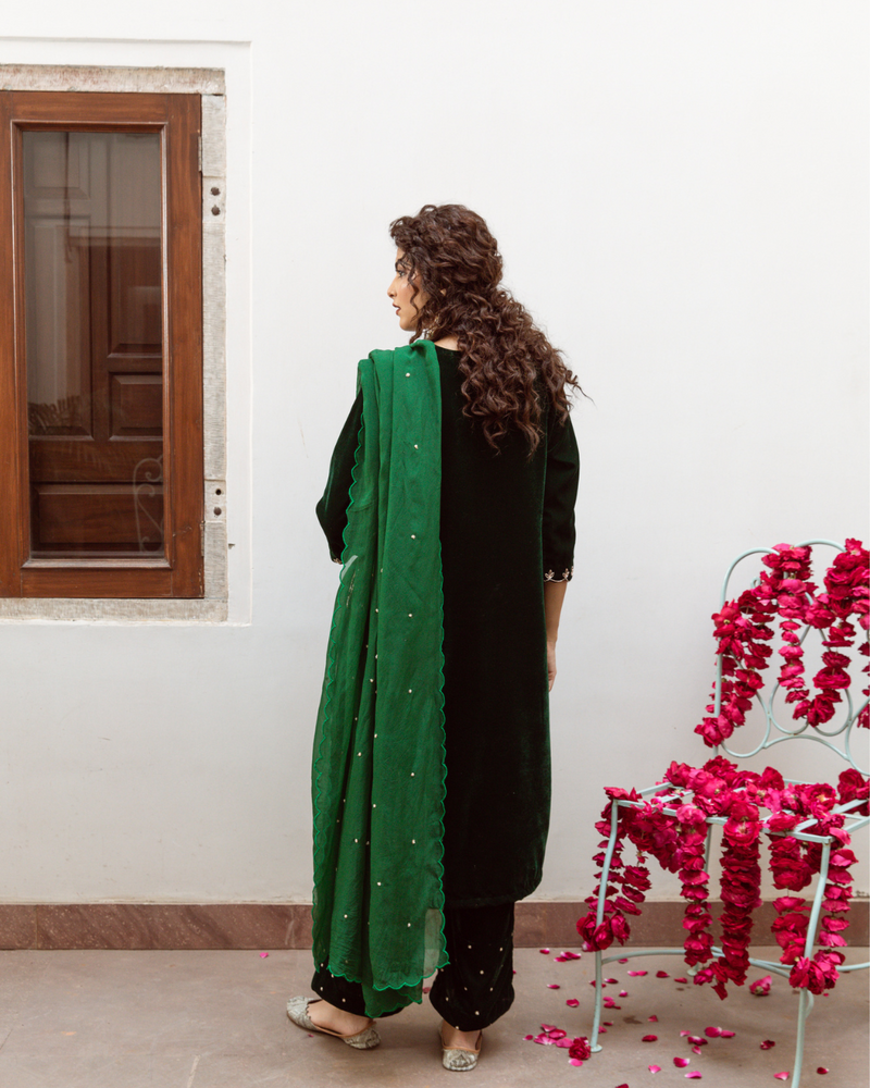Roya Panna - Velvet Embroidered Suit Set by Maison Shefali in green color for women Worldwide
